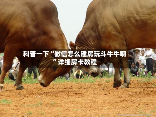 科普一下“微信怎么建房玩斗牛牛啊”详细房卡教程