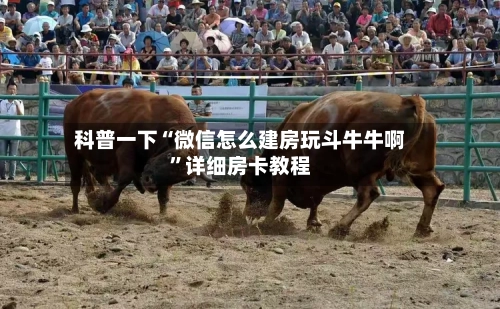 科普一下“微信怎么建房玩斗牛牛啊”详细房卡教程-第3张图片