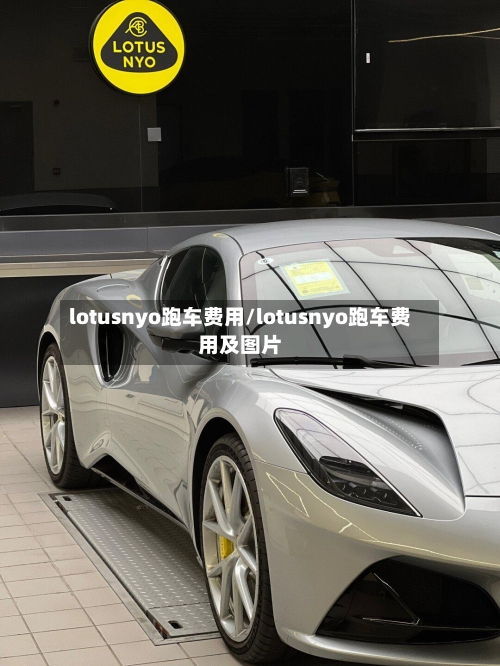 lotusnyo跑车费用/lotusnyo跑车费用及图片-第2张图片