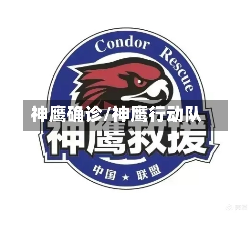 神鹰确诊/神鹰行动队