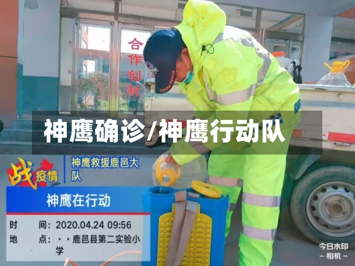 神鹰确诊/神鹰行动队-第3张图片