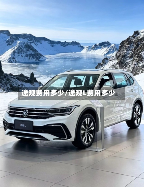 途观费用多少/途观L费用多少-第3张图片