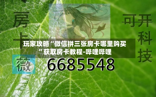 玩家攻略“微信拼三张房卡哪里购买”获取房卡教程-哔哩哔哩-第2张图片