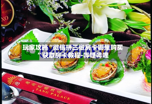 玩家攻略“微信拼三张房卡哪里购买”获取房卡教程-哔哩哔哩-第3张图片