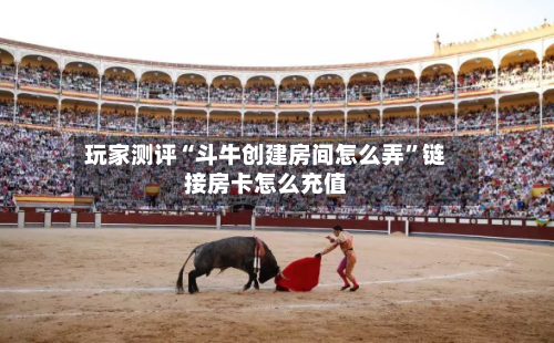 玩家测评“斗牛创建房间怎么弄”链接房卡怎么充值-第3张图片