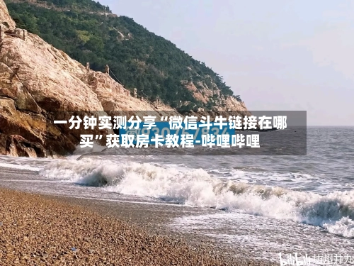 一分钟实测分享“微信斗牛链接在哪买	”获取房卡教程-哔哩哔哩-第2张图片