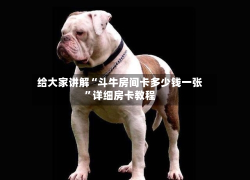 给大家讲解“斗牛房间卡多少钱一张”详细房卡教程