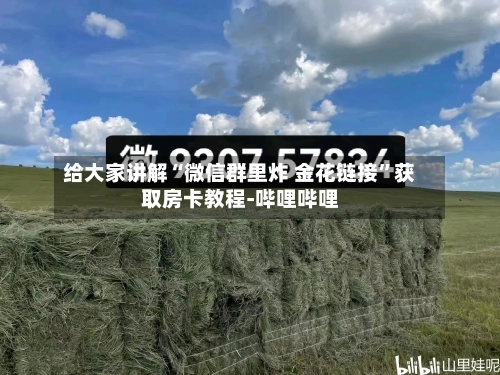 给大家讲解“微信群里炸 金花链接”获取房卡教程-哔哩哔哩-第3张图片