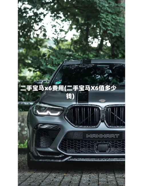 二手宝马x6费用(二手宝马X6值多少钱)-第2张图片