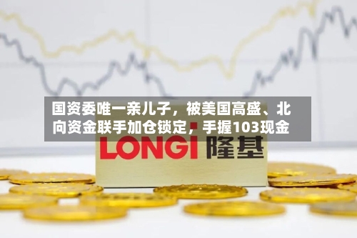 国资委唯一亲儿子，被美国高盛、北向资金联手加仓锁定，手握103现金