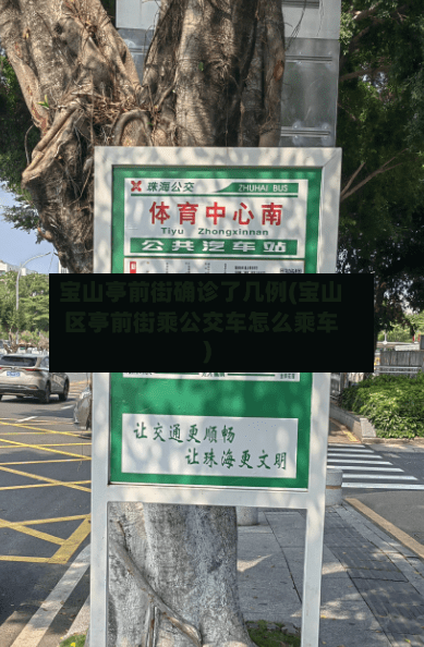 宝山亭前街确诊了几例(宝山区亭前街乘公交车怎么乘车)-第3张图片