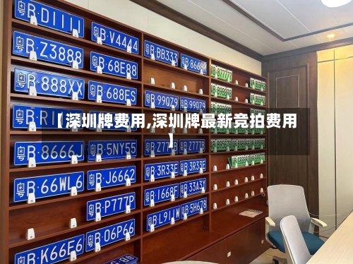 【深圳牌费用,深圳牌最新竞拍费用】-第3张图片