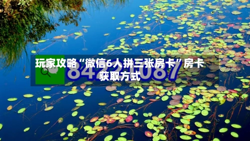 玩家攻略“微信6人拼三张房卡”房卡获取方式-第3张图片