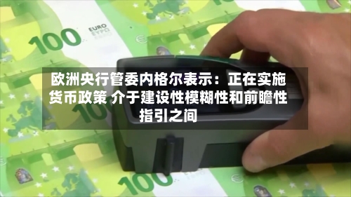 欧洲央行管委内格尔表示:正在实施货币政策 介于建设性模糊性和前瞻性指引之间-第2张图片