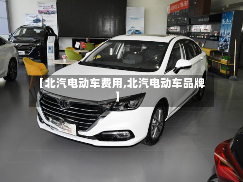 【北汽电动车费用,北汽电动车品牌】-第3张图片