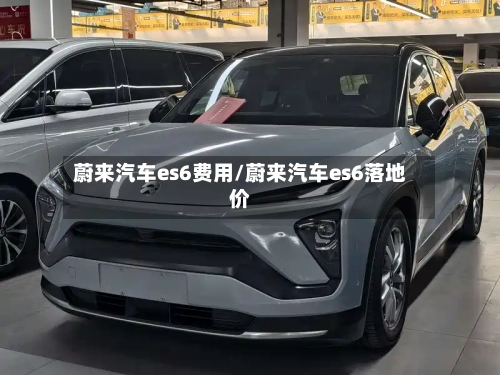 蔚来汽车es6费用/蔚来汽车es6落地价-第2张图片