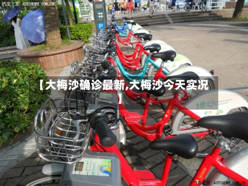 【大梅沙确诊最新,大梅沙今天实况】-第3张图片