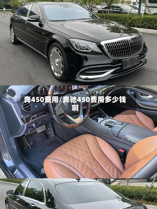 奔450费用/奔驰450费用多少钱啊