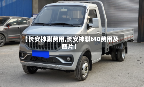 【长安神骐费用,长安神骐t40费用及图片】-第2张图片