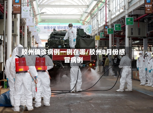 胶州确诊病例一例在哪/胶州8月份感冒病例