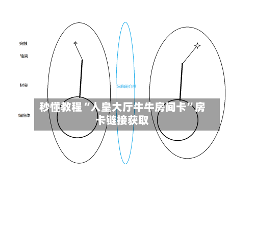 秒懂教程“人皇大厅牛牛房间卡”房卡链接获取-第2张图片
