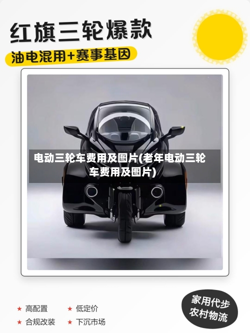电动三轮车费用及图片(老年电动三轮车费用及图片)-第3张图片