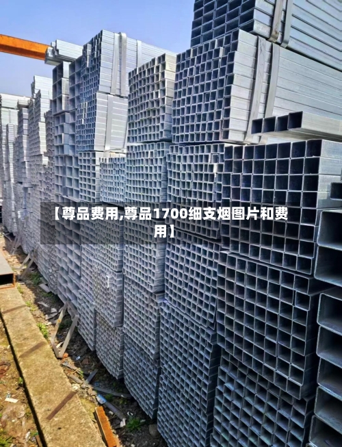 【尊品费用,尊品1700细支烟图片和费用】-第2张图片
