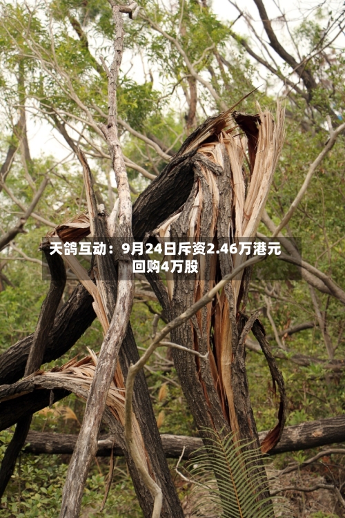 天鸽互动:9月24日斥资2.46万港元回购4万股-第2张图片