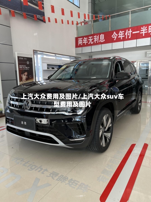 上汽大众费用及图片/上汽大众suv车型费用及图片-第3张图片