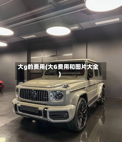 大g的费用(大G费用和图片大全)-第2张图片