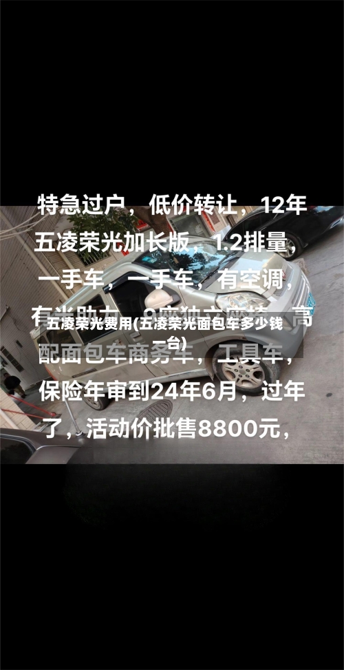 五凌荣光费用(五凌荣光面包车多少钱一台)-第2张图片