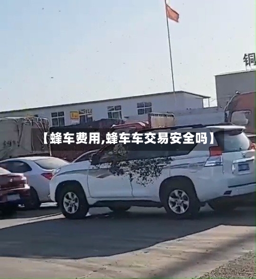 【蜂车费用,蜂车车交易安全吗】-第3张图片