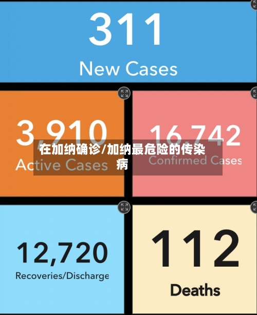 在加纳确诊/加纳最危险的传染病-第2张图片