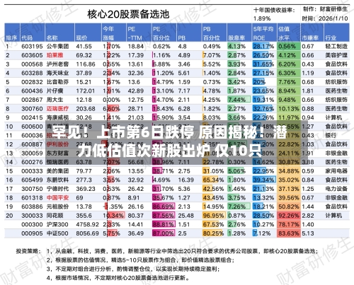 罕见!上市第6日跌停 原因揭秘!潜力低估值次新股出炉 仅10只-第2张图片