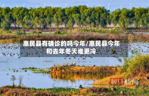 惠民县有确诊的吗今年/惠民县今年和去年冬天谁更冷-第2张图片