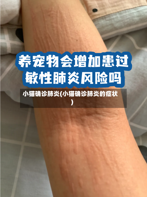 小猫确诊肺炎(小猫确诊肺炎的症状)-第2张图片