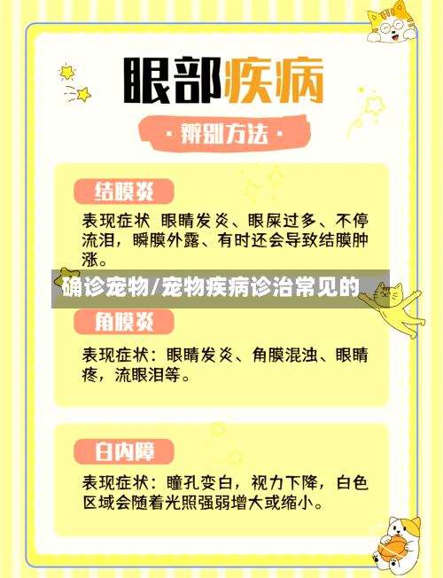 确诊宠物/宠物疾病诊治常见的