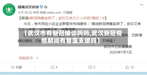 【武汉市有新冠确诊吗吗,武汉新冠疫情期间有兽医支援吗】