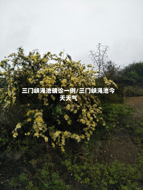 三门峡渑池确诊一例/三门峡渑池今天天气