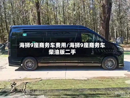 海狮9座商务车费用/海狮9座商务车柴油版二手-第2张图片