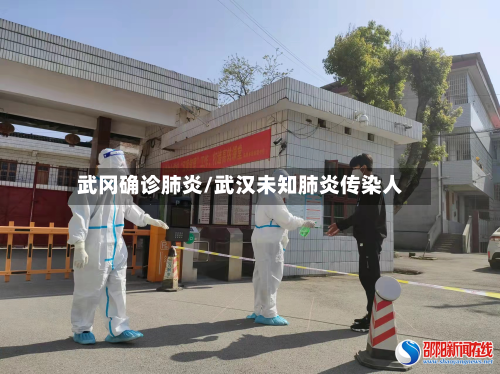 武冈确诊肺炎/武汉未知肺炎传染人