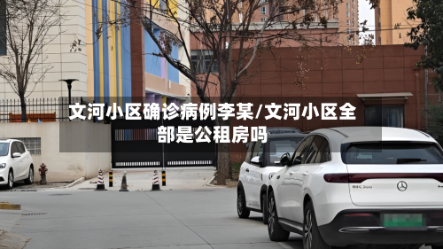 文河小区确诊病例李某/文河小区全部是公租房吗-第2张图片