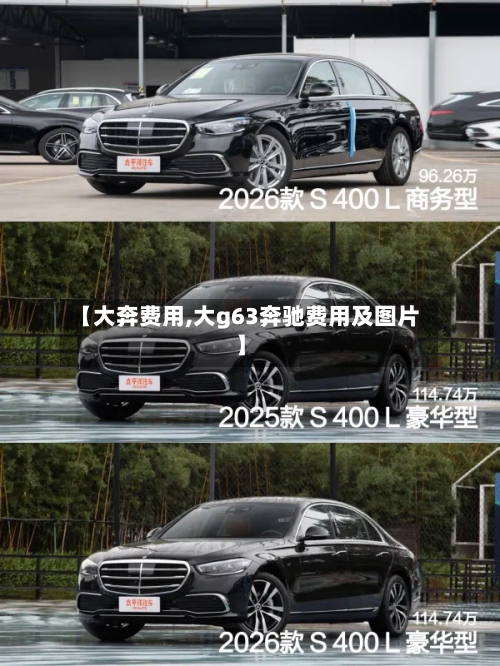 【大奔费用,大g63奔驰费用及图片】