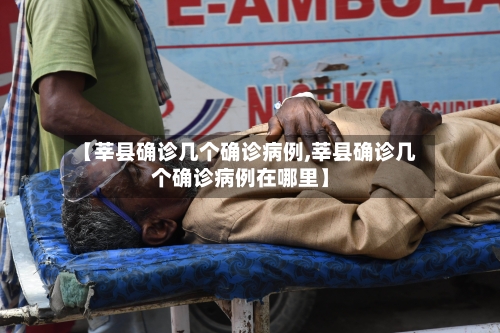 【莘县确诊几个确诊病例,莘县确诊几个确诊病例在哪里】