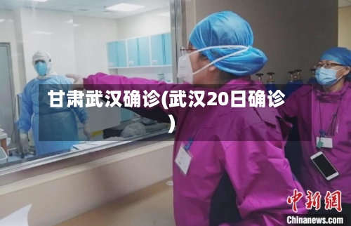 甘肃武汉确诊(武汉20日确诊)