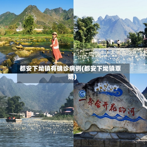 都安下坳镇有确诊病例(都安下坳镇覃妮)-第2张图片