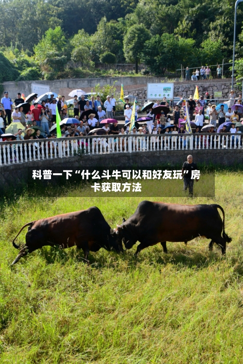 科普一下“什么斗牛可以和好友玩”房卡获取方法