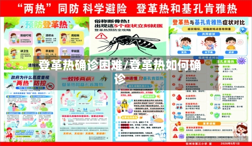 登革热确诊困难/登革热如何确诊