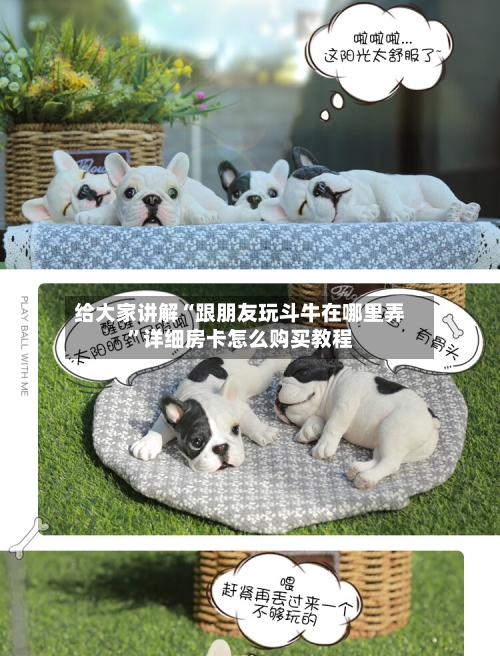 给大家讲解“跟朋友玩斗牛在哪里弄”详细房卡怎么购买教程