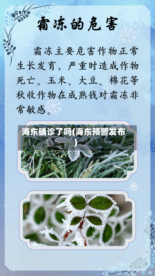 海东确诊了吗(海东预警发布)